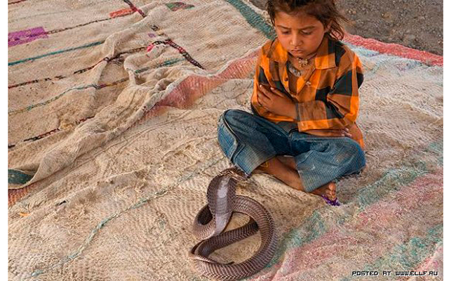 Двухлетняя укротительница змей