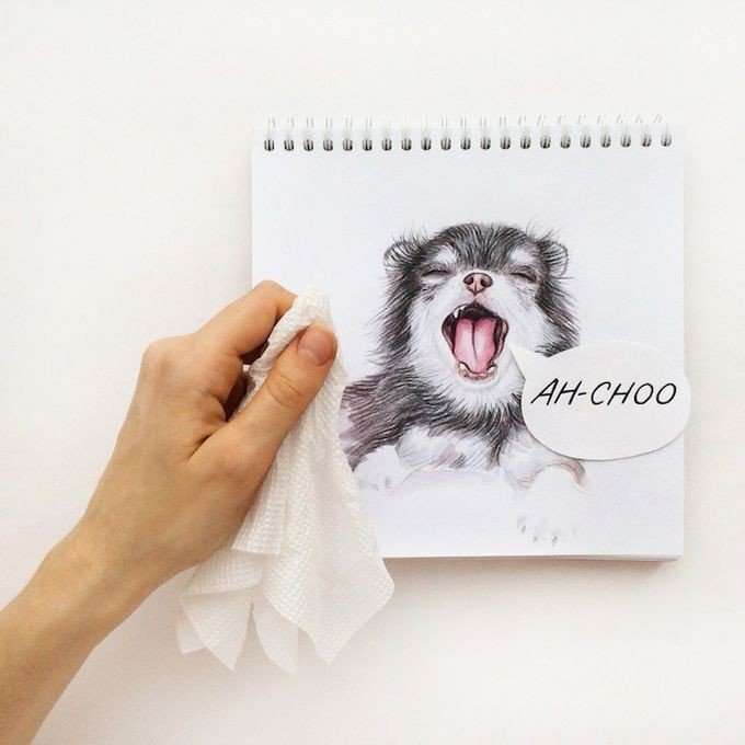 Невероятно реалистичные рисунки собак